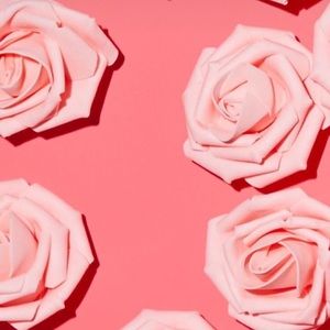 Meet your Posher, Sylvene